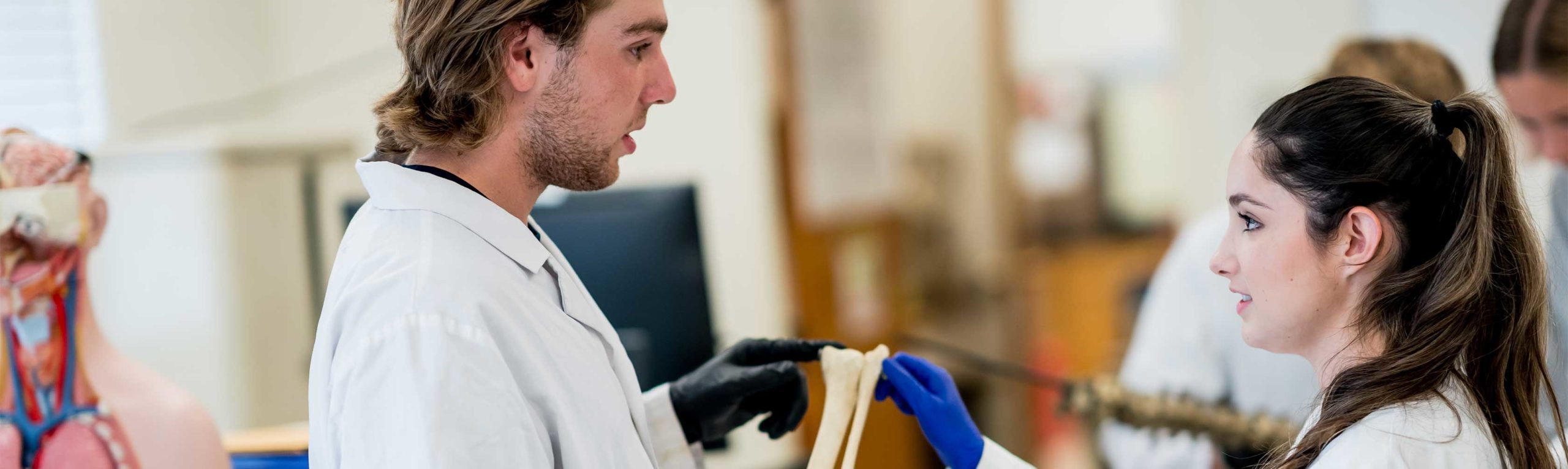 Students working in lab