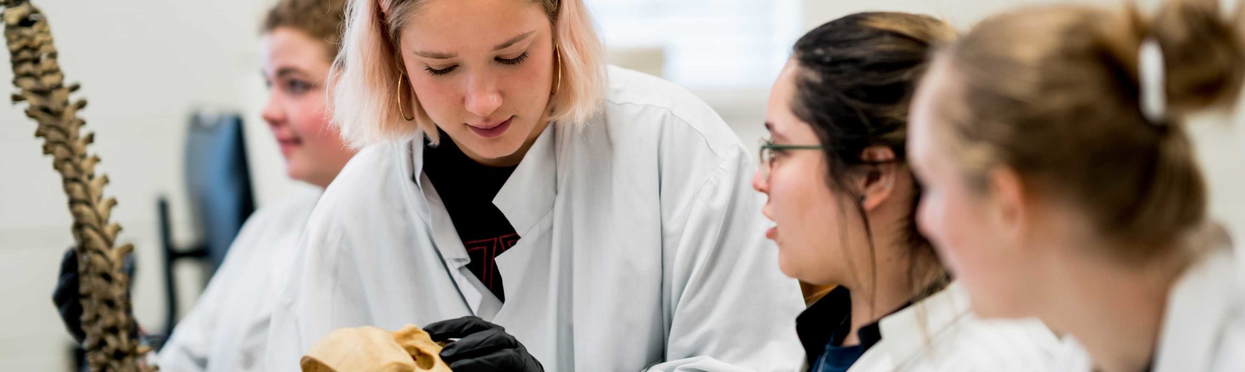 Students studying in lab