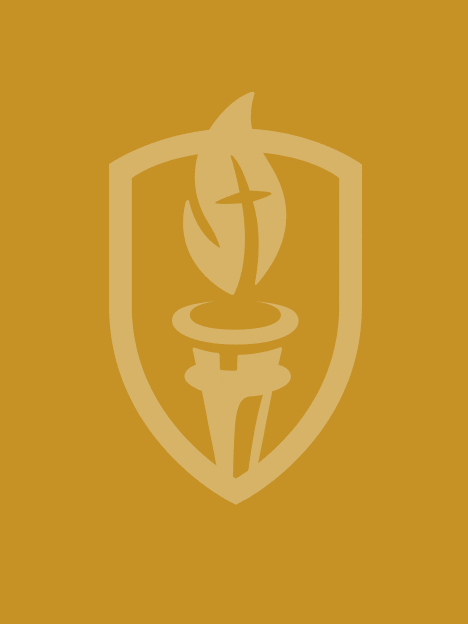 ������-University-Gold